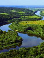 Image from entry Desna River (aerial view) s in the Internet Encyclopedia of Ukraine